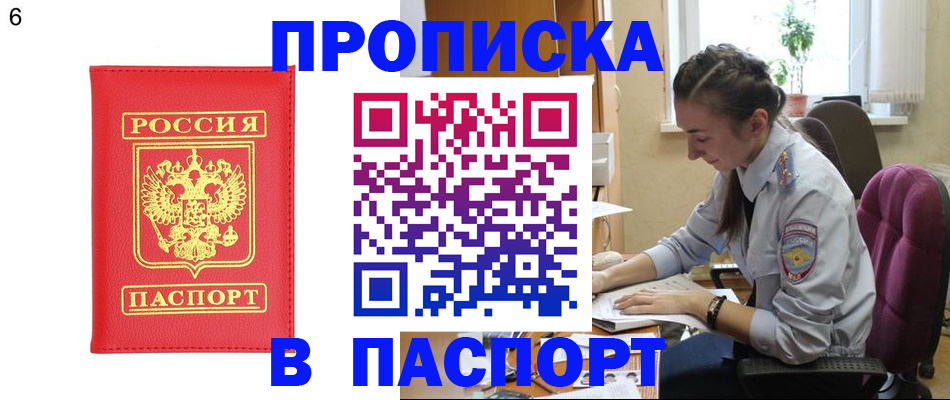 прописка гарантия в Нелидово